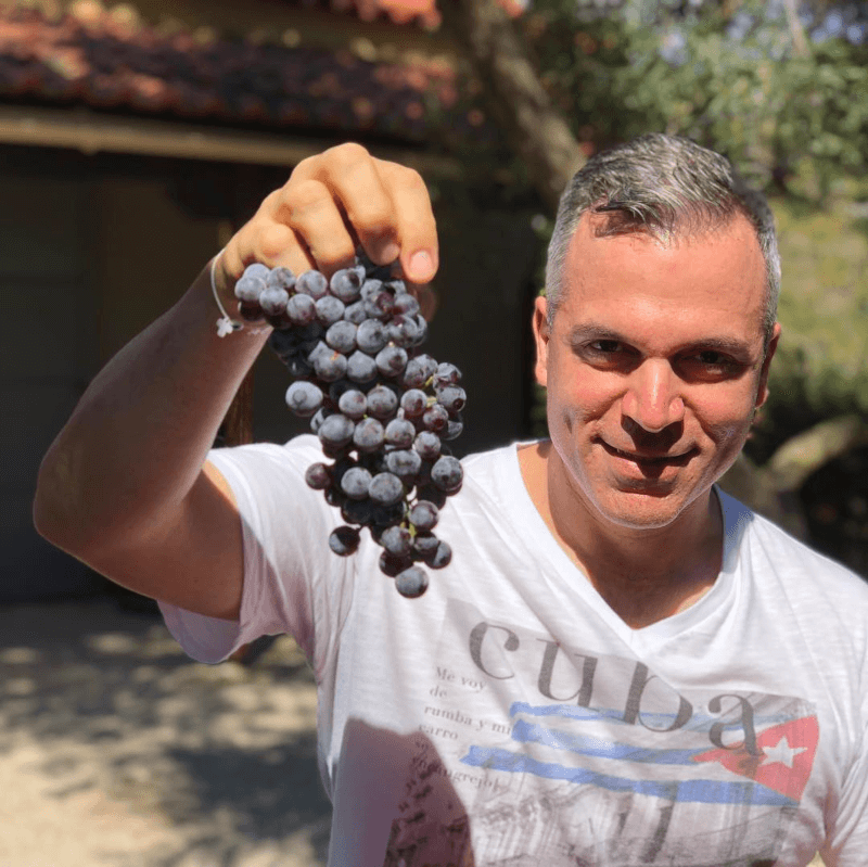 Oenops Wines Vinbond