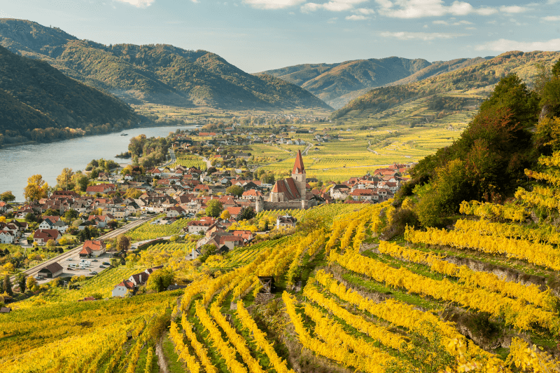 Weinberge um Weissenkirchen Wachau Österreich