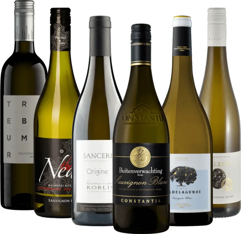 6x druesortiment – internasjonale Sauvignon Blanc-bestselgere