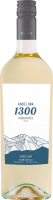 Torrontés Andeluna 1300 Tupungato Mendoza - Andeluna Cellars