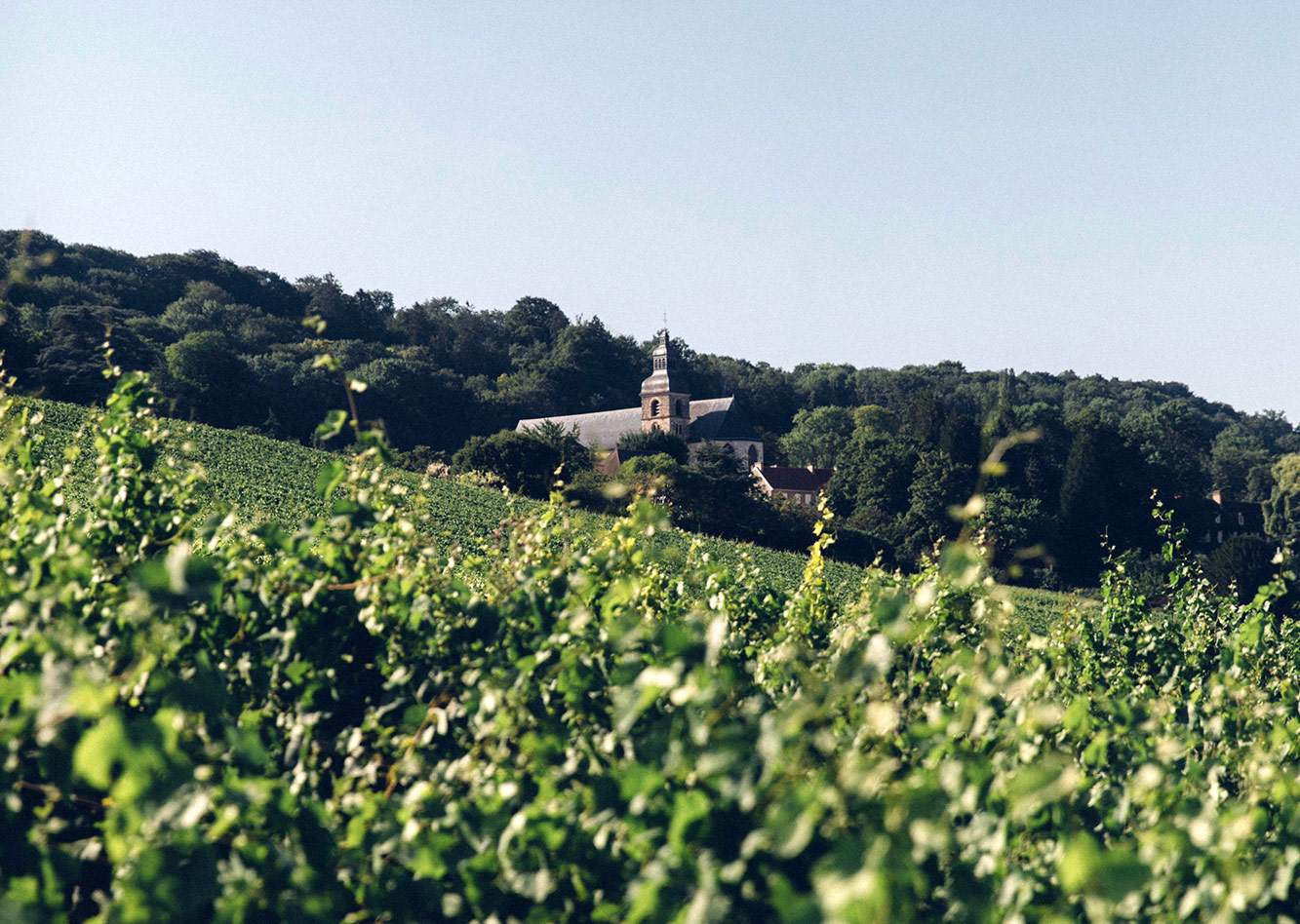 Leclerc Briant Anbau