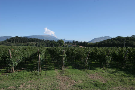 villacordevigo58762f6fc3125