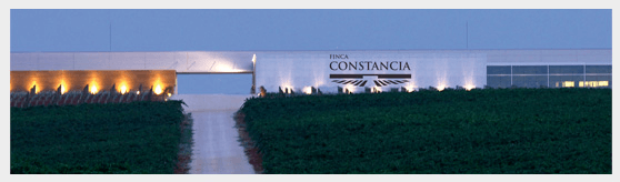 Vingården Finca Constancia